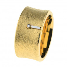 ANILLO ERNSTES